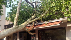 Ein umgestürzter Baum fällt auf ein Hausdach. 
