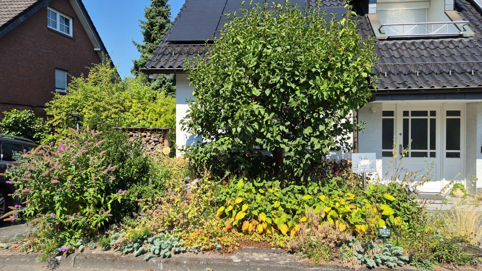 Bepflanzter Vorgarten mit Sträuchern und Stauden.
