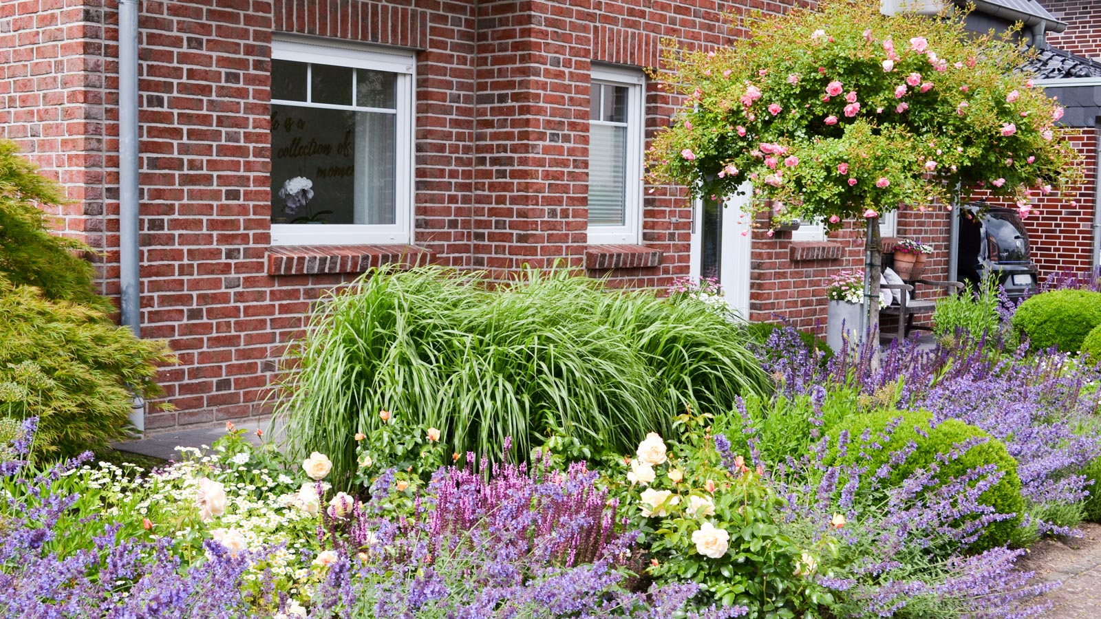 Gewinnergarten von Monika Lueke beim Fotowettbewerb 2026