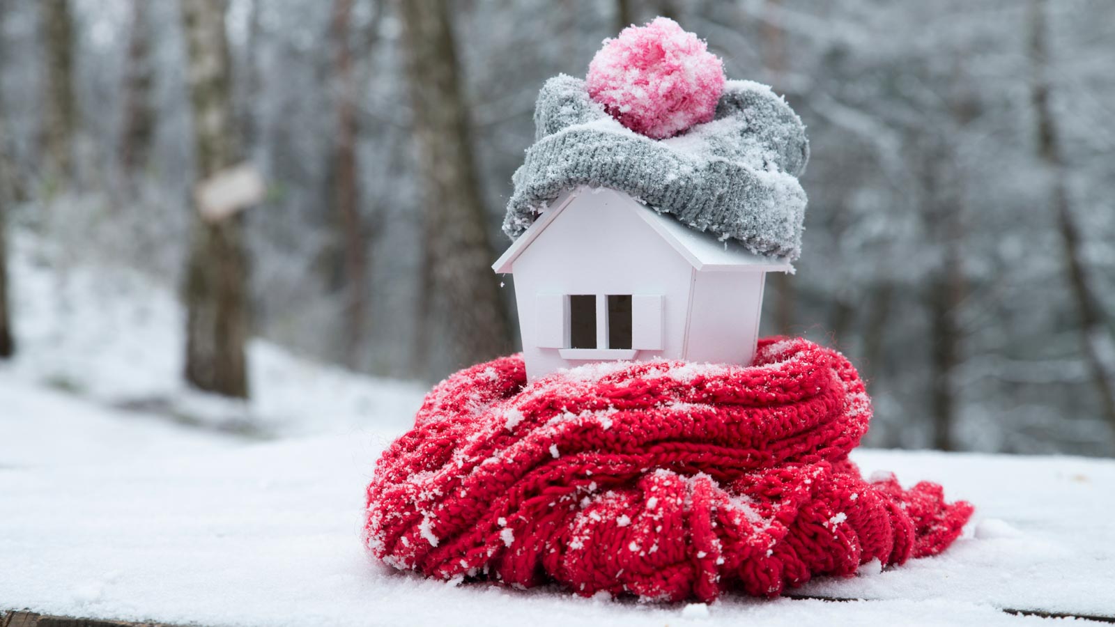 Modellhaus mit Mütze und Schal in verschneiter Winterlandschaft