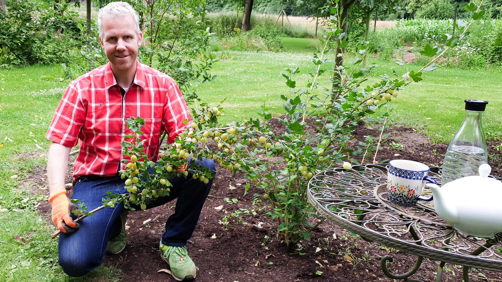 Gartenberater Philippe Dahlmann zeigt kniend einen abgeschnittenen Stachelbeer-Ast