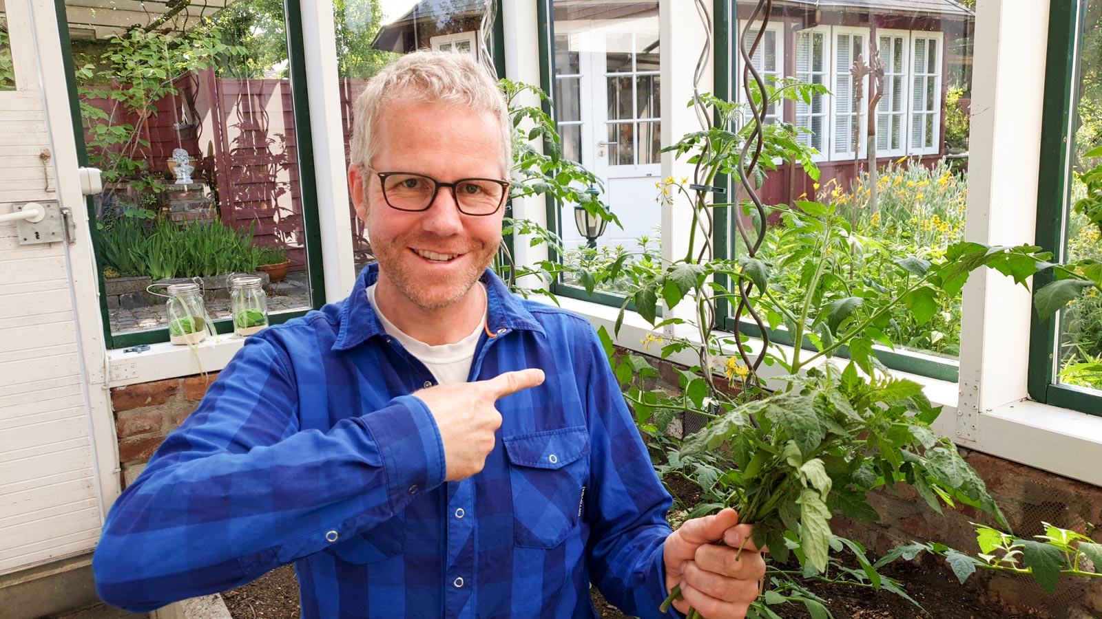 Gartenberater Dahlmann zeigt auf eine Tomatenpflanze