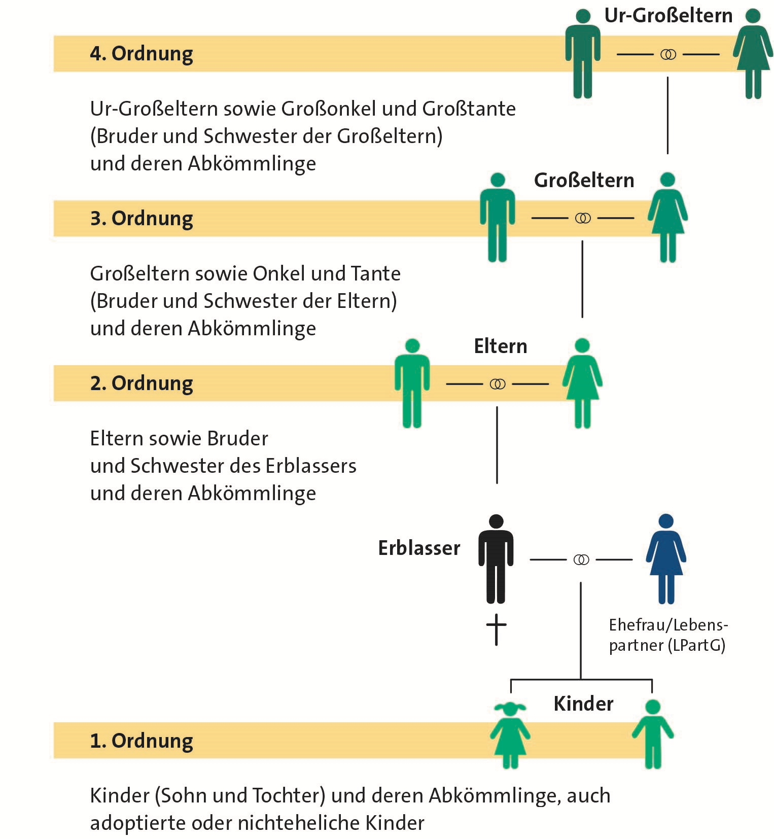 Grafik zur Erbfolge