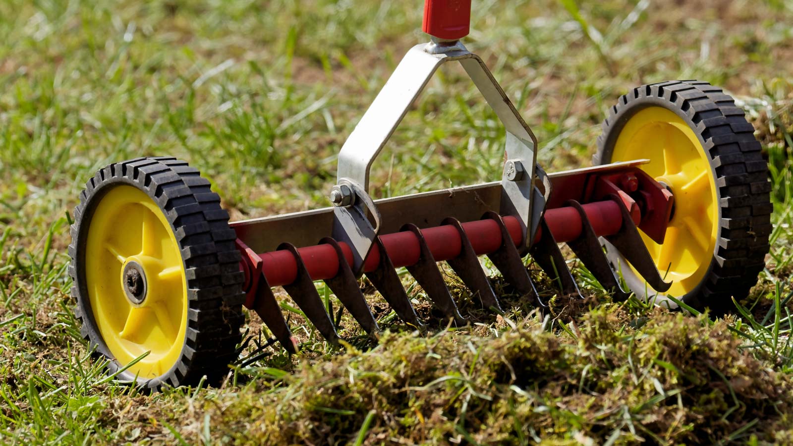 Nahaufnahme von einem Handvertikutierer, der auf dem Rasen steht. Dieses Geräte ist zum Vertikutieren kleiner Rasenflächen geeignet.