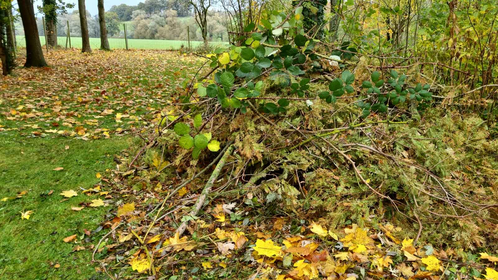 Reisghaufen unter einem Baum