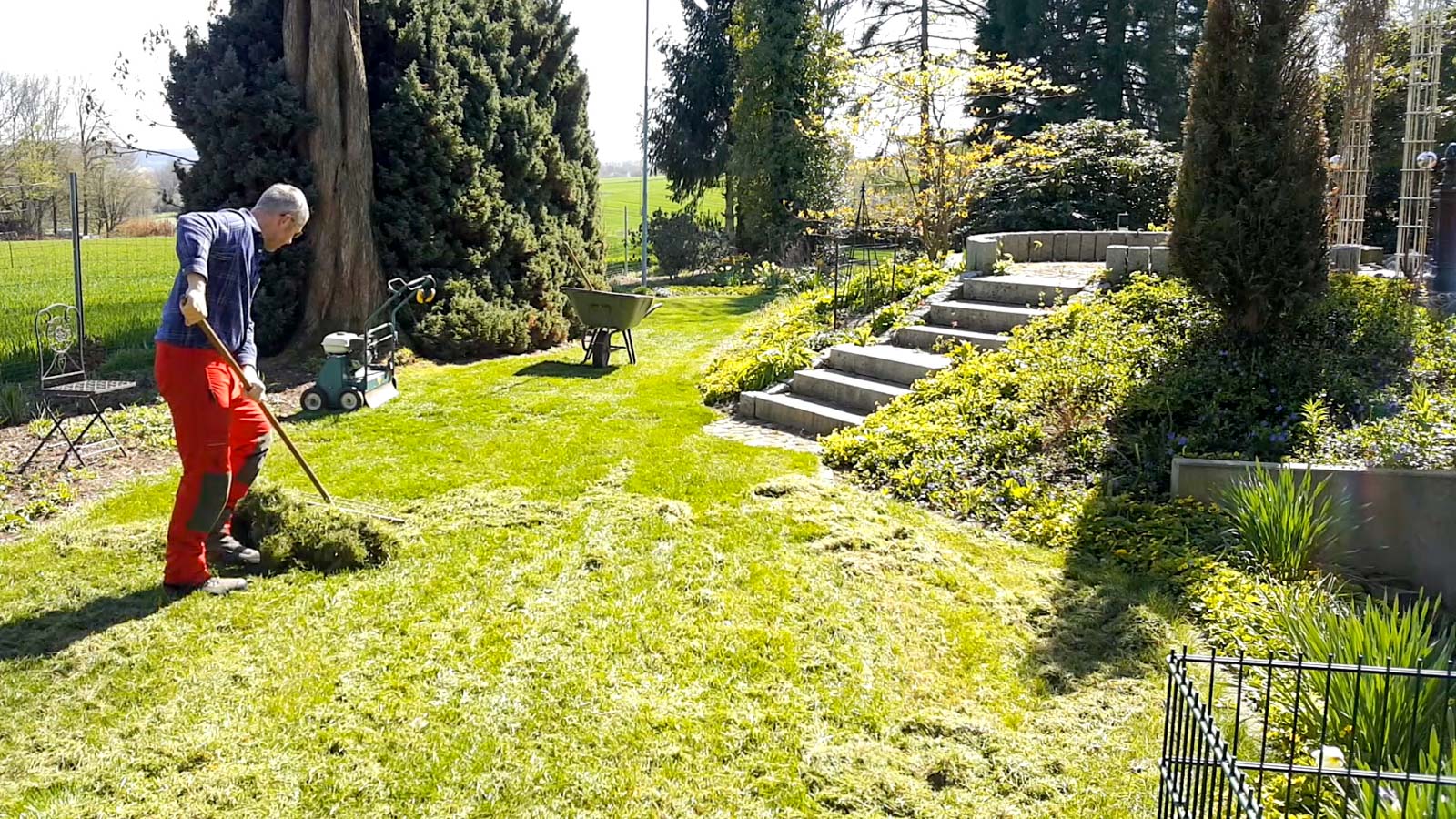 Gartenberater Philippe Dahlmann harkt Moos und Rasenfilz mit einer Rasenharke ab, die nach dem Vertikutieren auf dem Rasen liegen.
