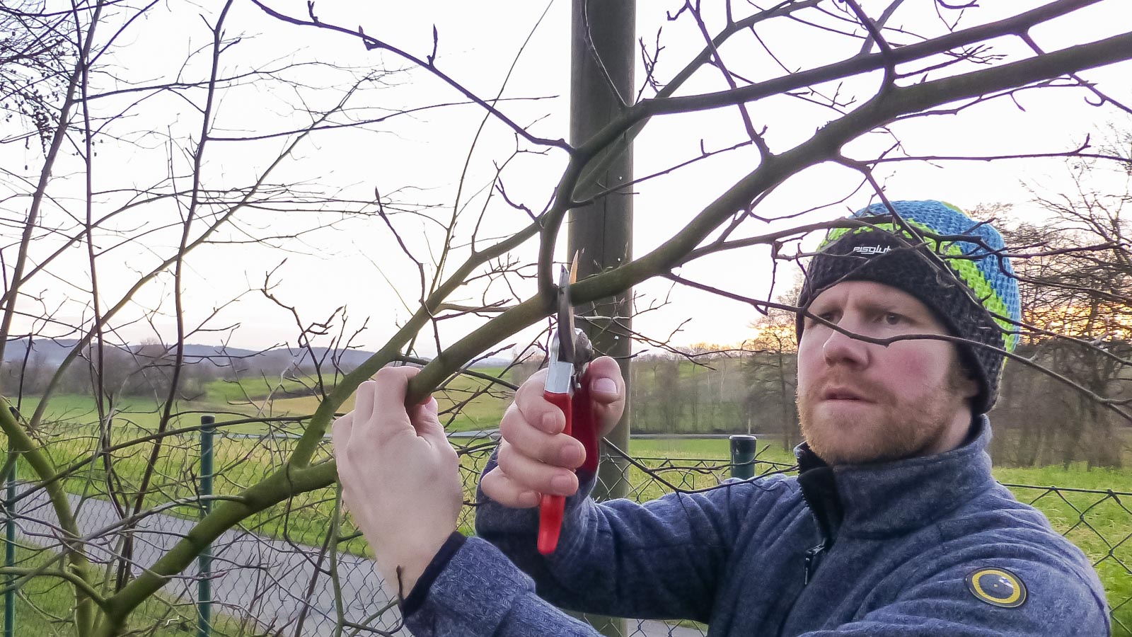 Gartenberater Philippe Dahlmann schneidet eine Felsenbirne