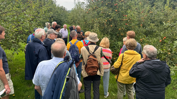 Eine Gruppe der Gemeinschaft Rheda-Wiedenbrück steht in einem speziellen botanischen Garten zwischen vielen Äpfelbäumen