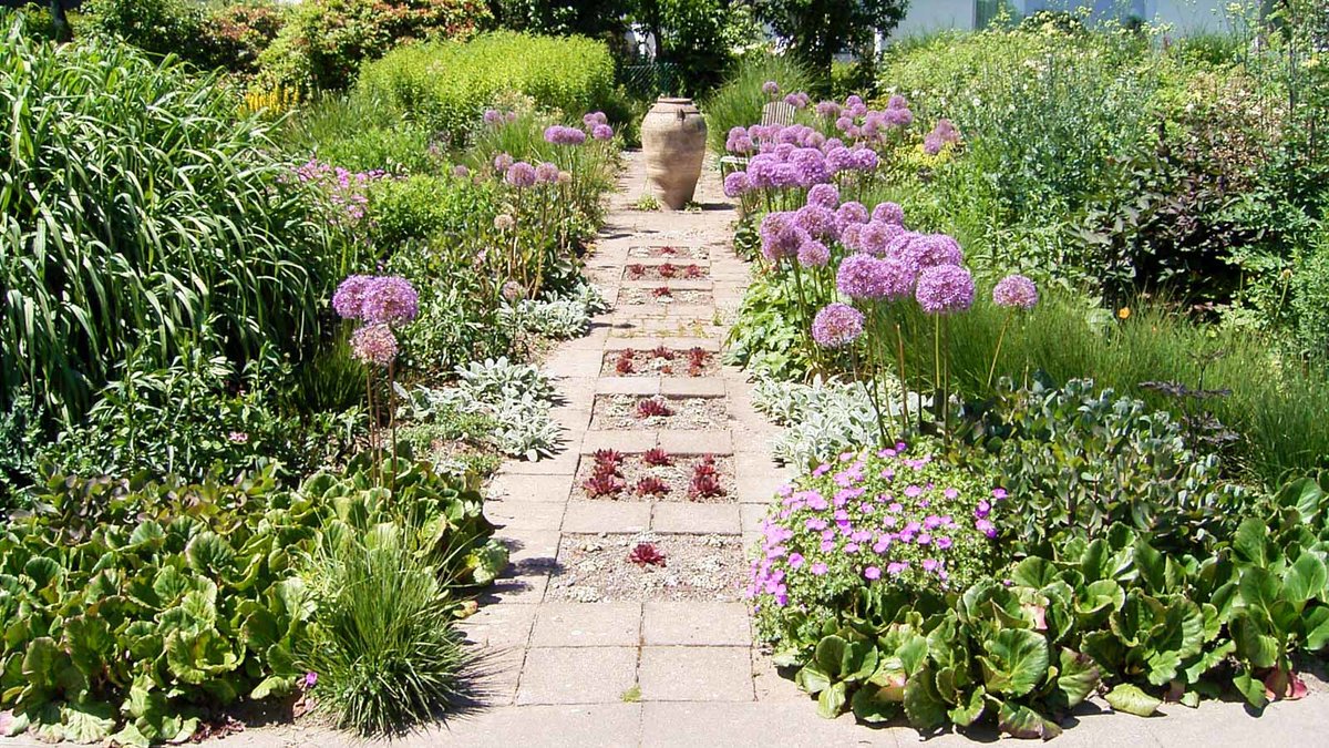 Gartenansicht mit blühenden Pflanzen