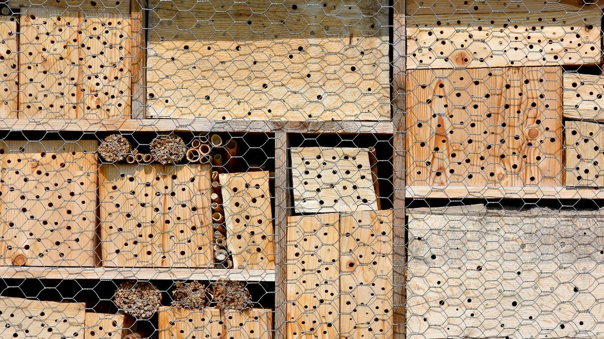 Nisthilfen für Wildbienen aus Hartholz