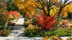 Weg durch einen Herbstgarten 