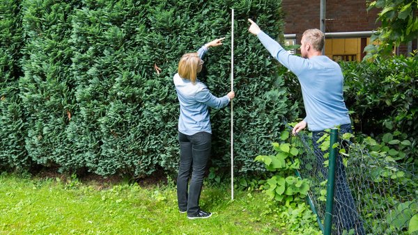 Zwei Personen streiten sich über den GArtenzaun hinweg über die Höhe einer Hecke