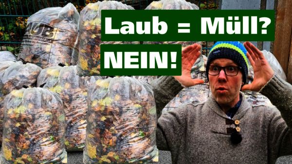 Vorschaubild für YouTube-Gartenvideo