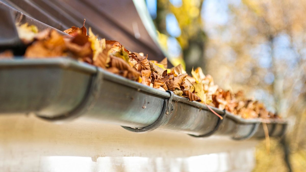 Nahaufnahme einer Dachrinne voll Herbstlaub