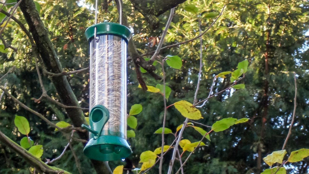 Gefülltes Futtersilo für die Vogelfütterung