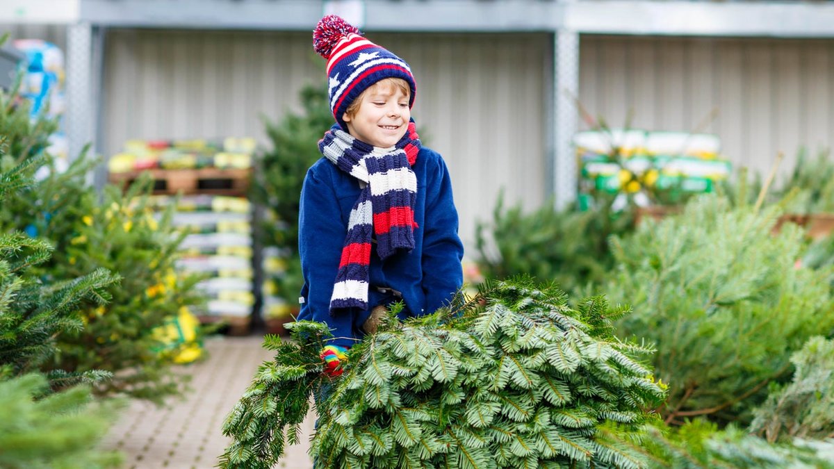 Junge mit Pudelmütze und Schall sucht in einem Baumarkt einen Christbaum aus