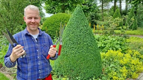 Gartenberater Philippe Dahlmann hält zwei Buchsbaumscheren hoch die zum Schneiden geeignet sind. Dahlmann steht vor einem Buchsbaum der einen Formschnitt erhalten hat.