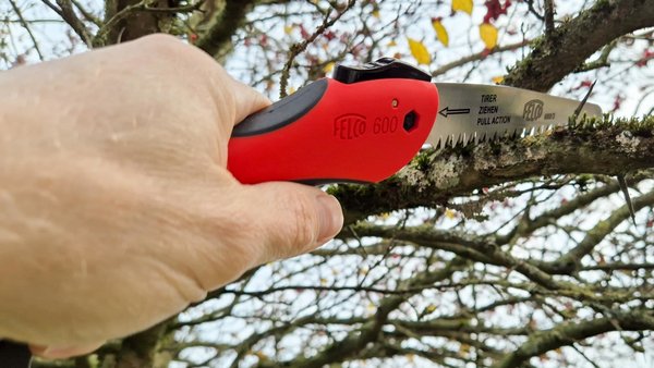 Ast wird mit einer Felco-Klappsäge gekappt