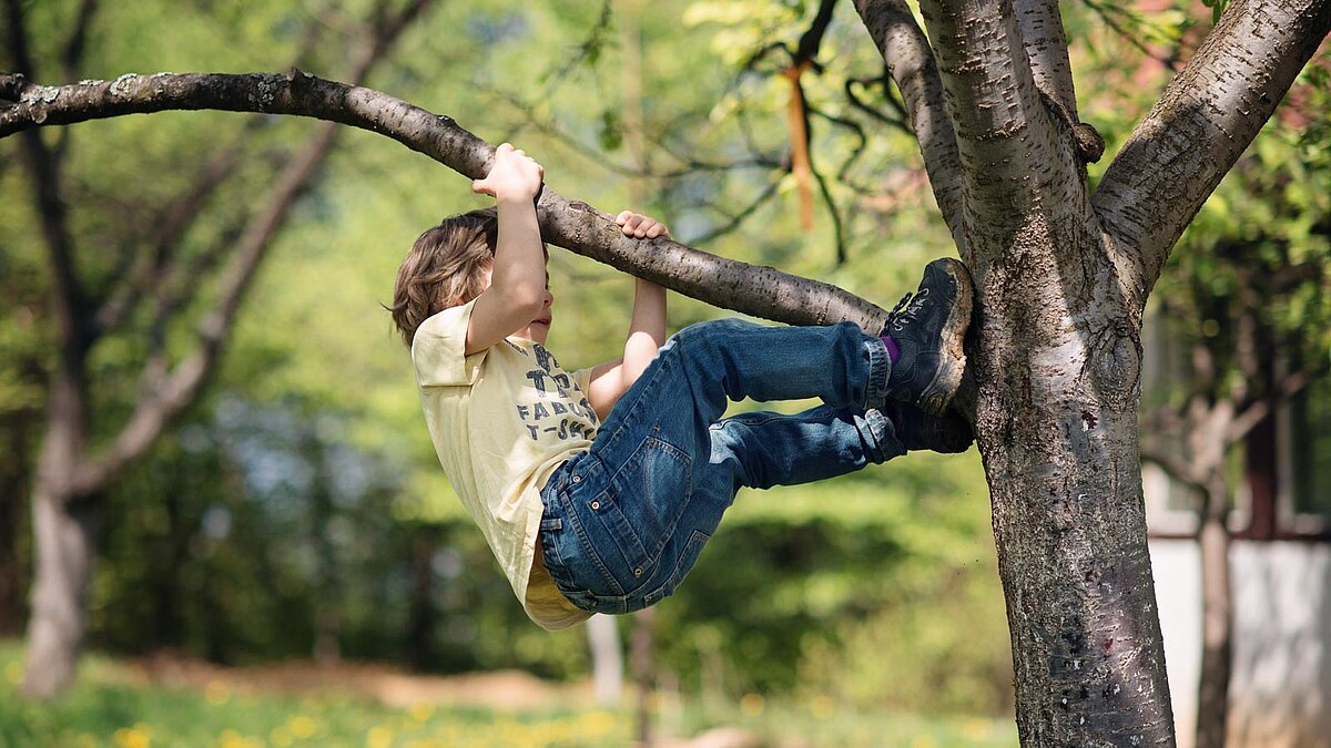Junge klettert im Garten an einem Baum