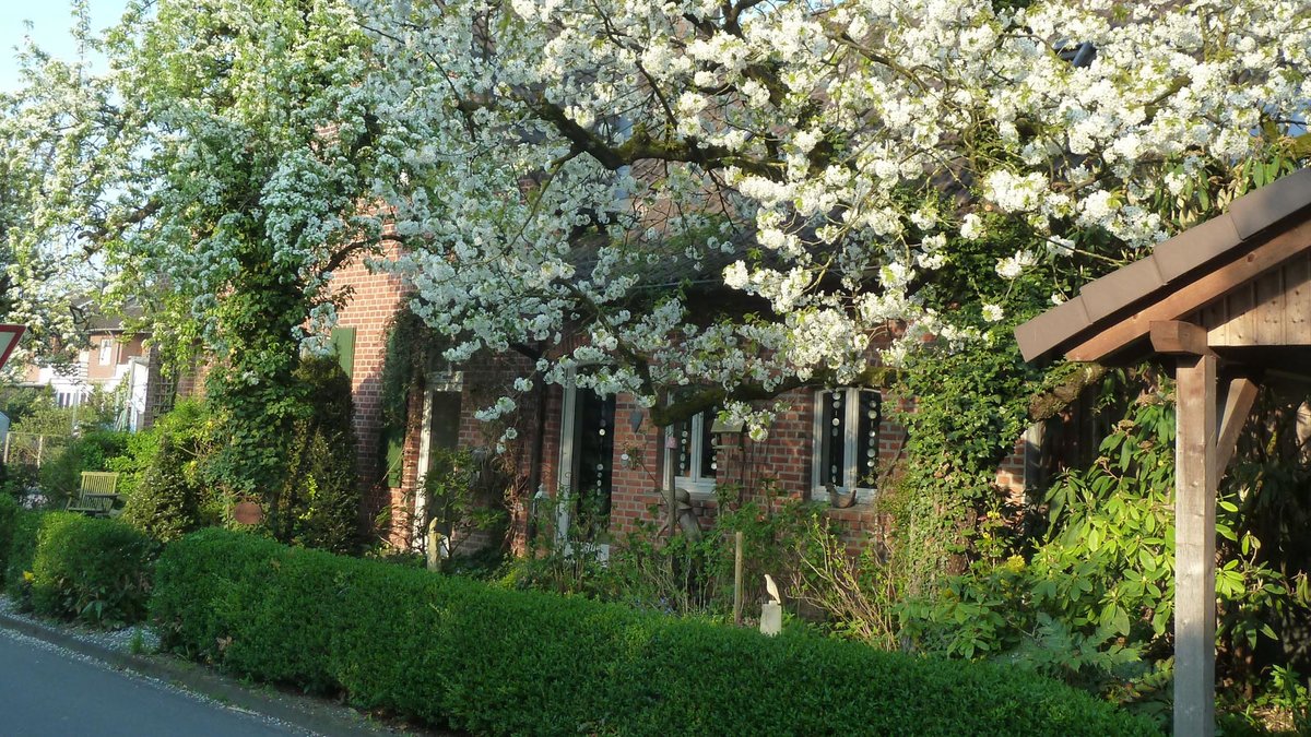 Vorgarten der Familie Heumannskämper