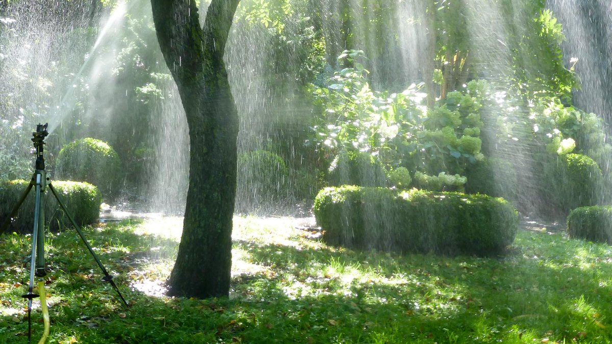 Bewässerung von Rasen, Bäumen und Sträuchern mit einem Wasserregner