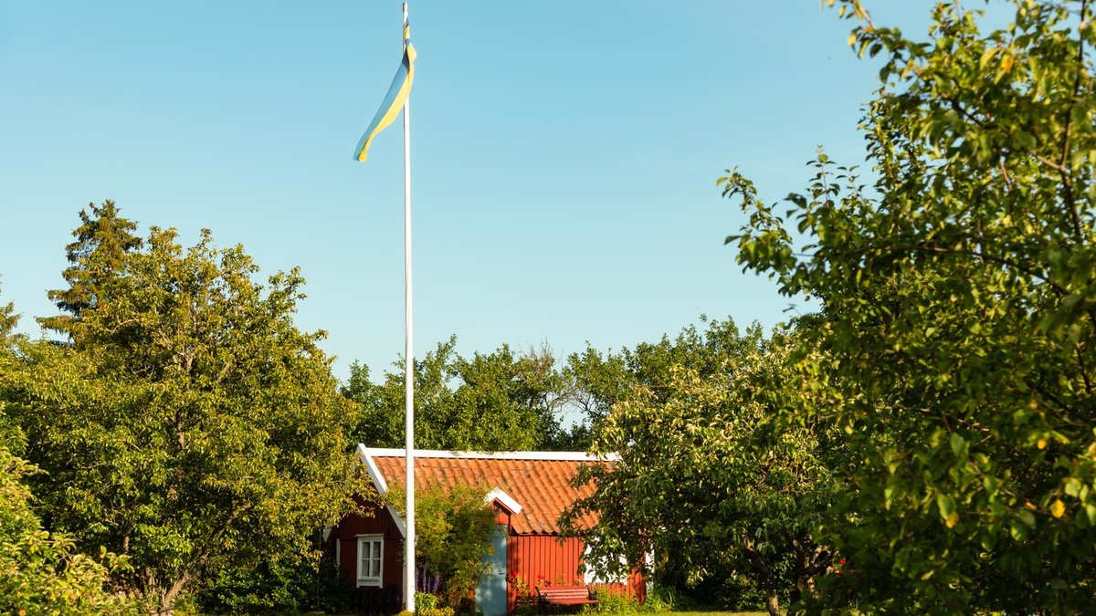 Hoher Fahnenmast im Garten