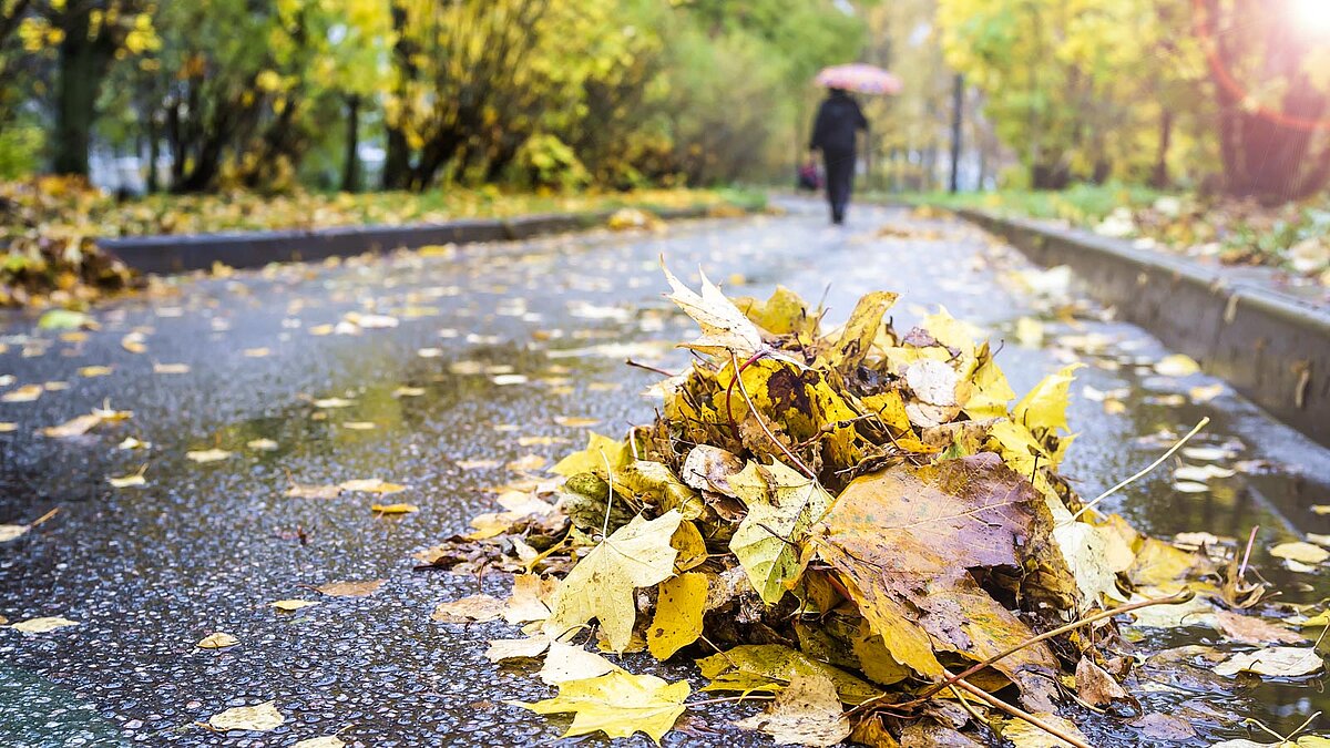 Herbstlaubhaufen im Vordergrund auf nasser Straße