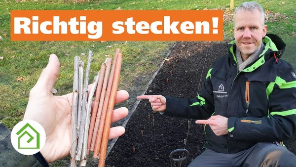 Gartenberater Philippe Dahlmann vor einem Steckholz-Anzuchtbeet für die Steckholzvermehrung.