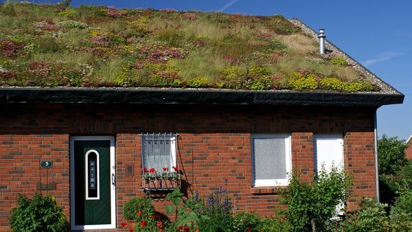 Einfamilienhaus mit Dachbegrünung