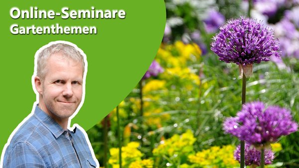 Gartenberater Philippe Dahlmann auf Bild mit einem Zierlauch zu Online-Seminaren des Verband Wohneigentum.