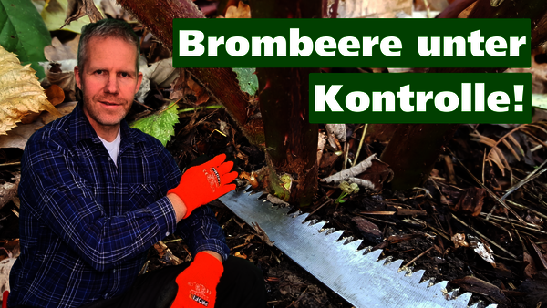 Gartenberater Philippe Dahlmann zeigt auf eine Collage zum YouTube-Video zum Thema Brombeerschnitt