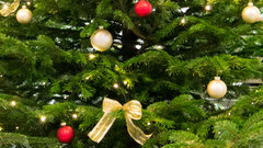 Nahaufnahme eines geschmückten Weihnachtsbaums 