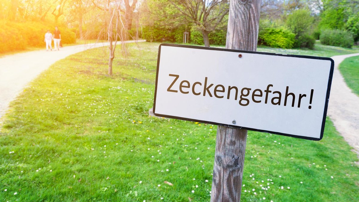 Warnschild "Zeckengefahr" in einem öffentlichen Park